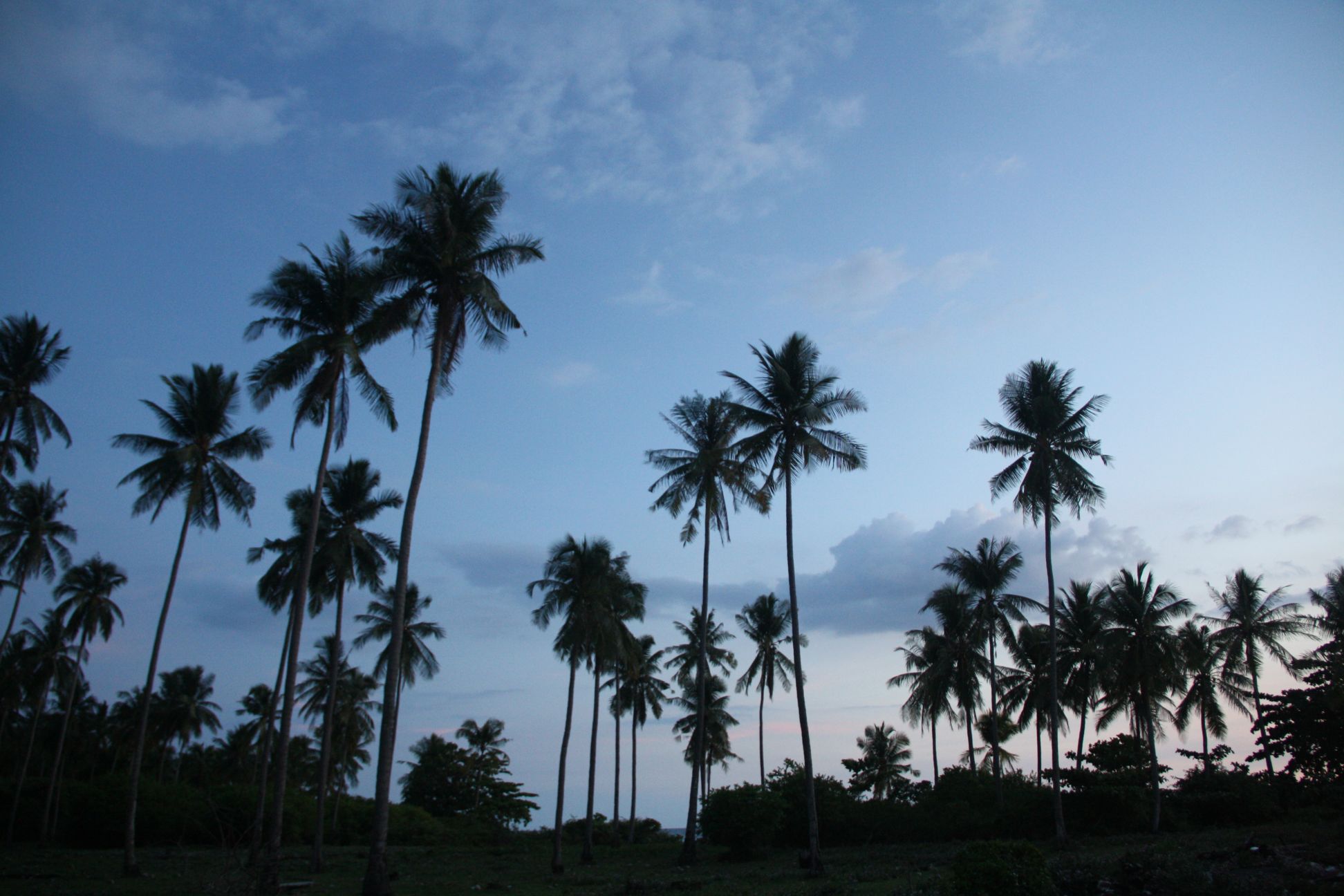 Palm Beach Zoznamka