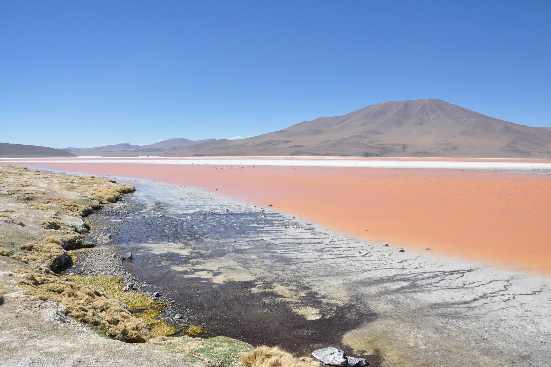 Uyuni trip – Altiplano [Bolivia]