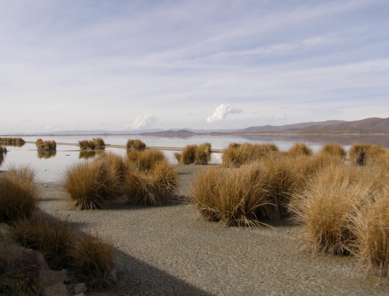 z La Paz do Uyuni [Bolivia]