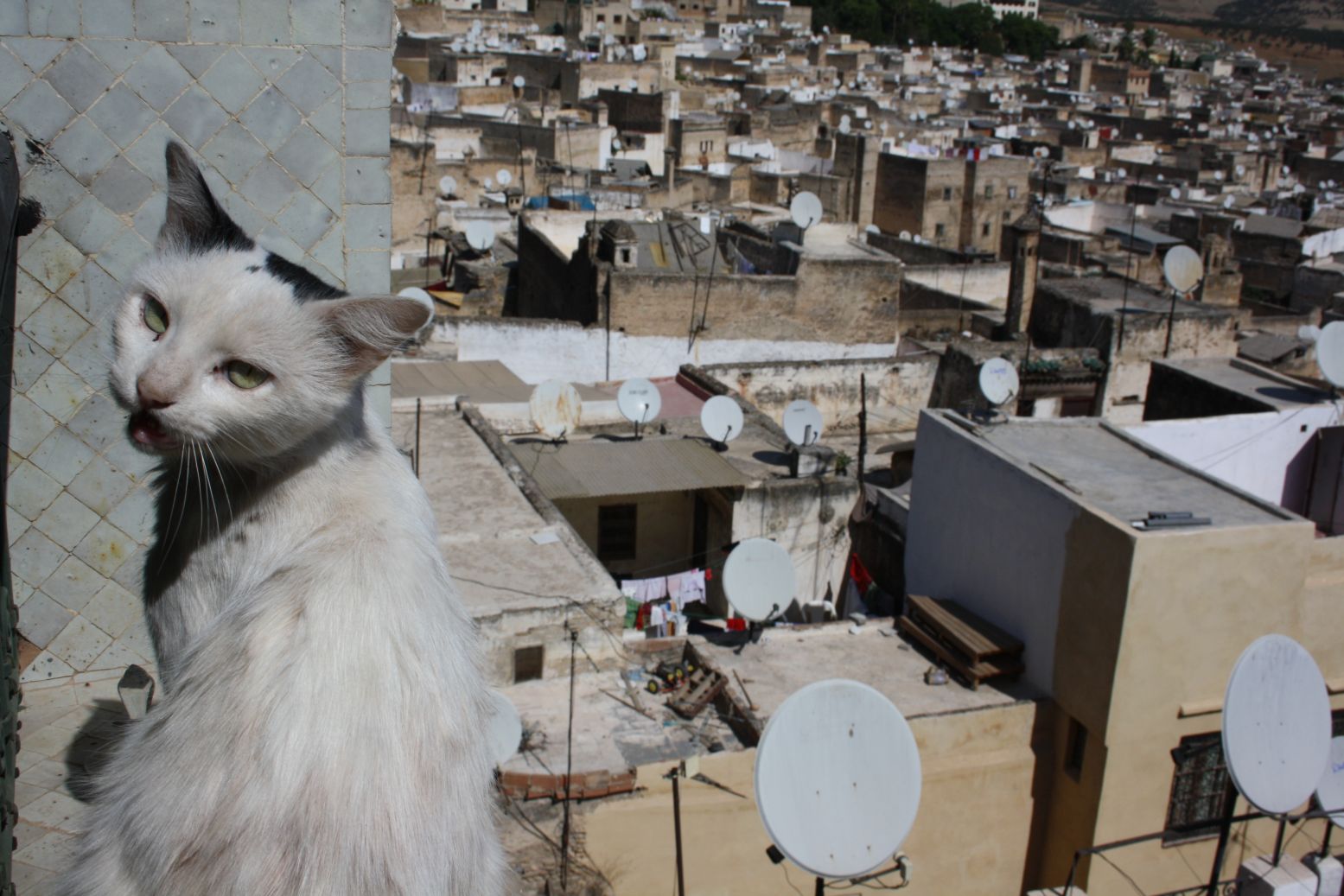 Fez a cez hory do Chefchaouen [Maroko]